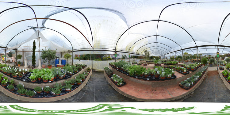 Sandhaas Garten und Landschaftsbau OttersweierBreithurst